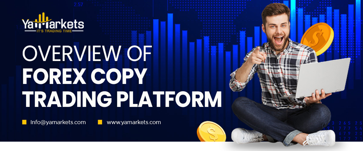 An overview of Forex copy trading platform
